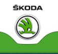 Perth City Skoda logo